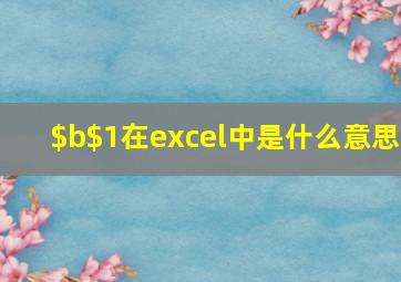 $b$1在excel中是什么意思