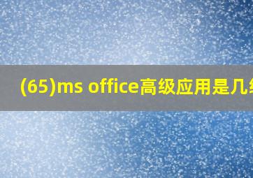 (65)ms office高级应用是几级