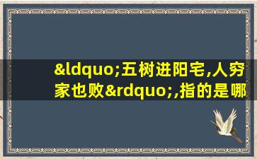 “五树进阳宅,人穷家也败”,指的是哪五种树?