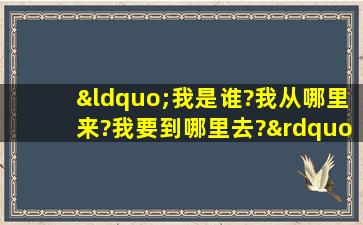 “我是谁?我从哪里来?我要到哪里去?”