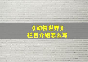 《动物世界》栏目介绍怎么写