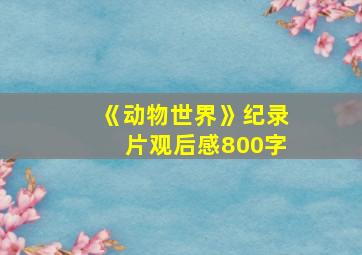 《动物世界》纪录片观后感800字