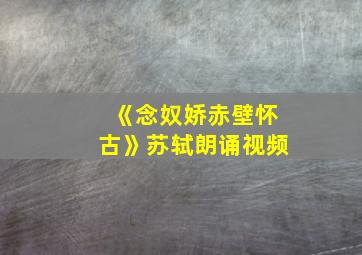 《念奴娇赤壁怀古》苏轼朗诵视频