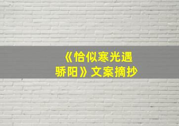 《恰似寒光遇骄阳》文案摘抄