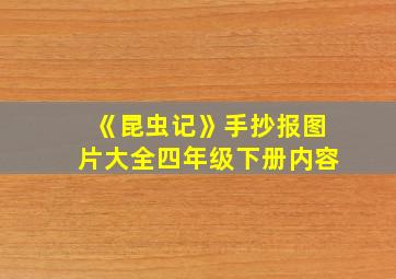 《昆虫记》手抄报图片大全四年级下册内容