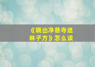 《晓出净慈寺送林子方》怎么读