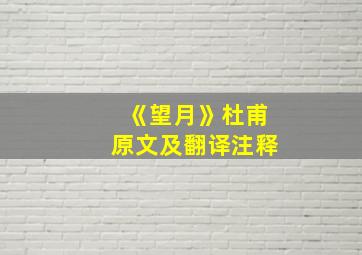 《望月》杜甫原文及翻译注释