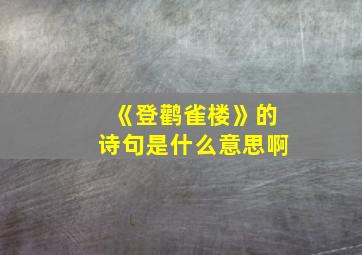 《登鹳雀楼》的诗句是什么意思啊