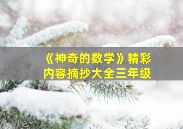 《神奇的数学》精彩内容摘抄大全三年级