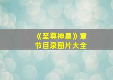 《至尊神皇》章节目录图片大全