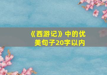 《西游记》中的优美句子20字以内