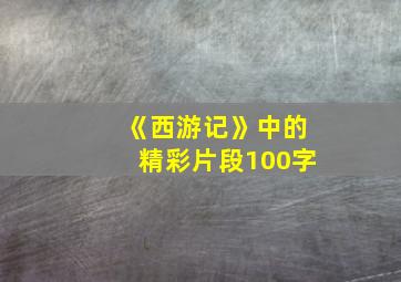 《西游记》中的精彩片段100字