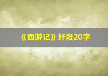 《西游记》好段20字