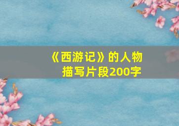 《西游记》的人物描写片段200字