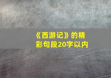 《西游记》的精彩句段20字以内