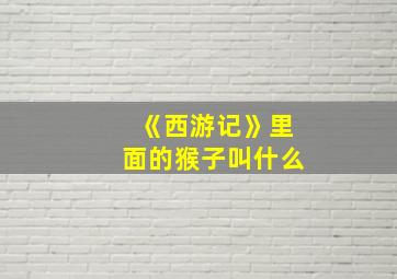 《西游记》里面的猴子叫什么