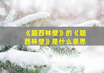 《题西林壁》的《题西林壁》是什么意思