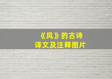 《风》的古诗译文及注释图片