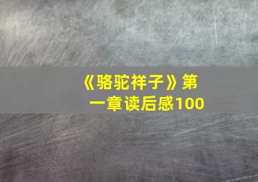 《骆驼祥子》第一章读后感100