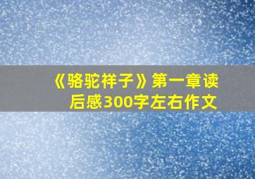 《骆驼祥子》第一章读后感300字左右作文