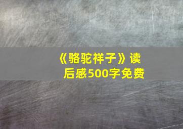 《骆驼祥子》读后感500字免费