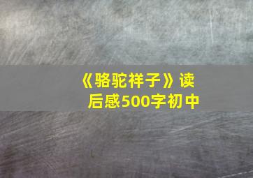 《骆驼祥子》读后感500字初中