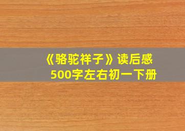 《骆驼祥子》读后感500字左右初一下册