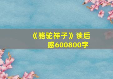 《骆驼祥子》读后感600800字