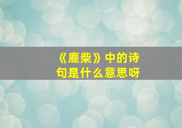 《鹿柴》中的诗句是什么意思呀