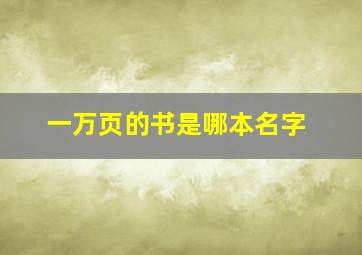 一万页的书是哪本名字