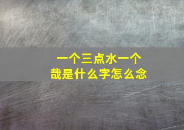 一个三点水一个哉是什么字怎么念