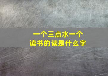 一个三点水一个读书的读是什么字