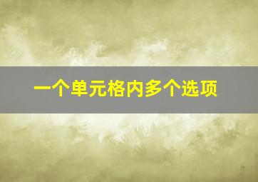 一个单元格内多个选项