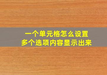 一个单元格怎么设置多个选项内容显示出来