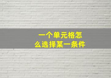 一个单元格怎么选择某一条件