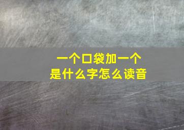 一个口袋加一个是什么字怎么读音