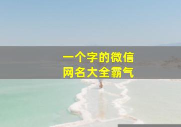 一个字的微信网名大全霸气