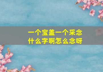 一个宝盖一个采念什么字啊怎么念呀