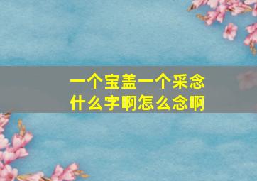 一个宝盖一个采念什么字啊怎么念啊