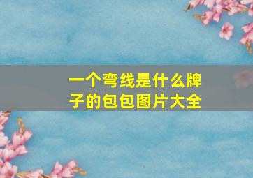 一个弯线是什么牌子的包包图片大全