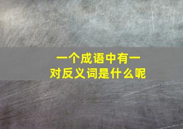 一个成语中有一对反义词是什么呢