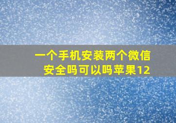 一个手机安装两个微信安全吗可以吗苹果12