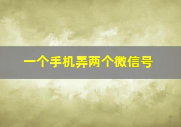 一个手机弄两个微信号