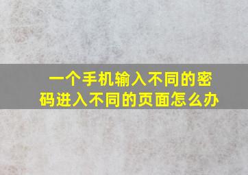 一个手机输入不同的密码进入不同的页面怎么办