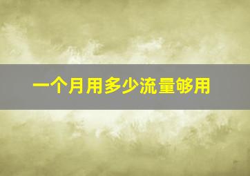 一个月用多少流量够用