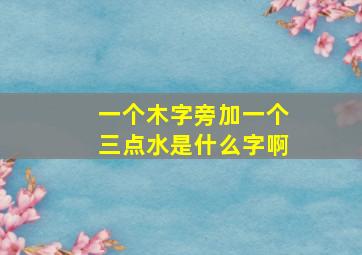 一个木字旁加一个三点水是什么字啊