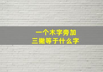 一个木字旁加三撇等于什么字