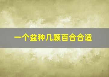 一个盆种几颗百合合适