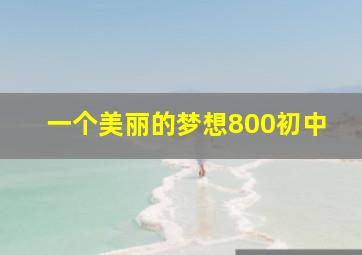 一个美丽的梦想800初中