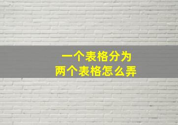 一个表格分为两个表格怎么弄